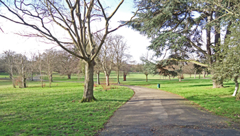 Brent Knoll School