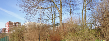 Brent Knoll School