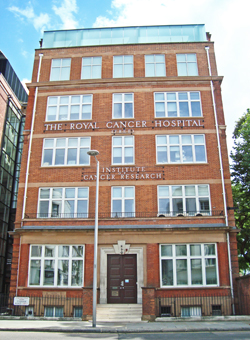 Chelsea Hospital for Women