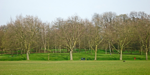 Downhills Park