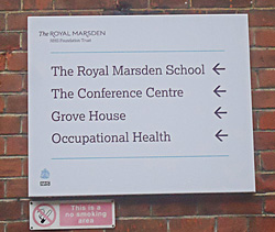 Royal Marsden Hospital, London