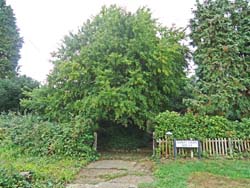 Site of Shaftesbury Open Air School