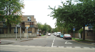 Homeland Drive