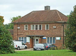 Botleys Park