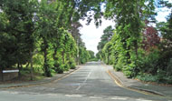Chaucer Avenue