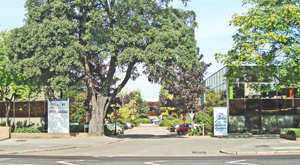 Site of Chiswick Materity Hospital