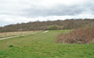 Claybury Hospital site