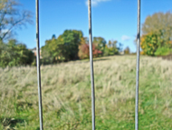 Elmbank site