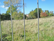Elmbank site