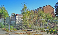 Elmbank site