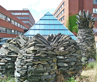 St George's Hospital