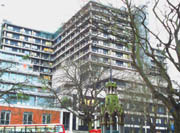Royal Free Hospital