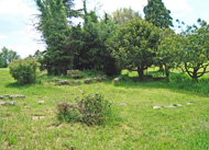 Anzac garden
