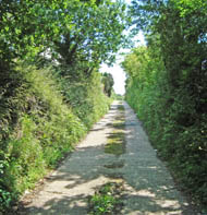 Langdon Hills