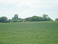 Langdon Hills