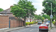 Birchlands Avenue