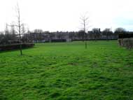 looking across from park