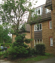 Mountolive Court