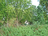 Site of main drive