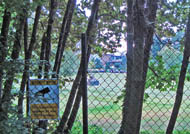 main building