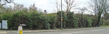 Fairmead