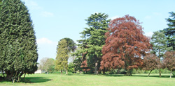 Stanborough Park