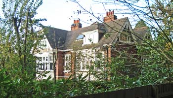 The Gorse