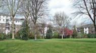 the park