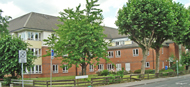 Woodlands